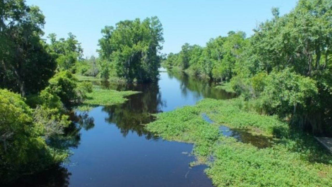 Trailer Park Shark Filming Location