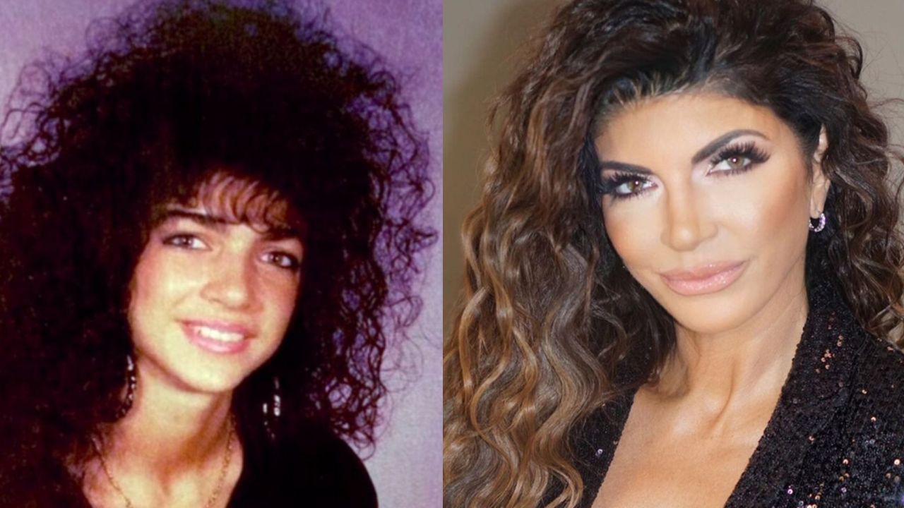 Teresa Giudice's Plastic Surgery: The Real Housewives of New Jersey Star Has Opened Up About Nose Job and Boob Job; Look at the Before and After Pictures!