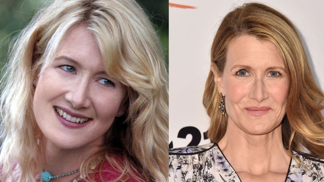 Laura Dern's Plastic Surgery: The Jurassic Park Star's Opinions on Cosmetic Surgery and Aging; Fans Seek Before and After Pictures!
