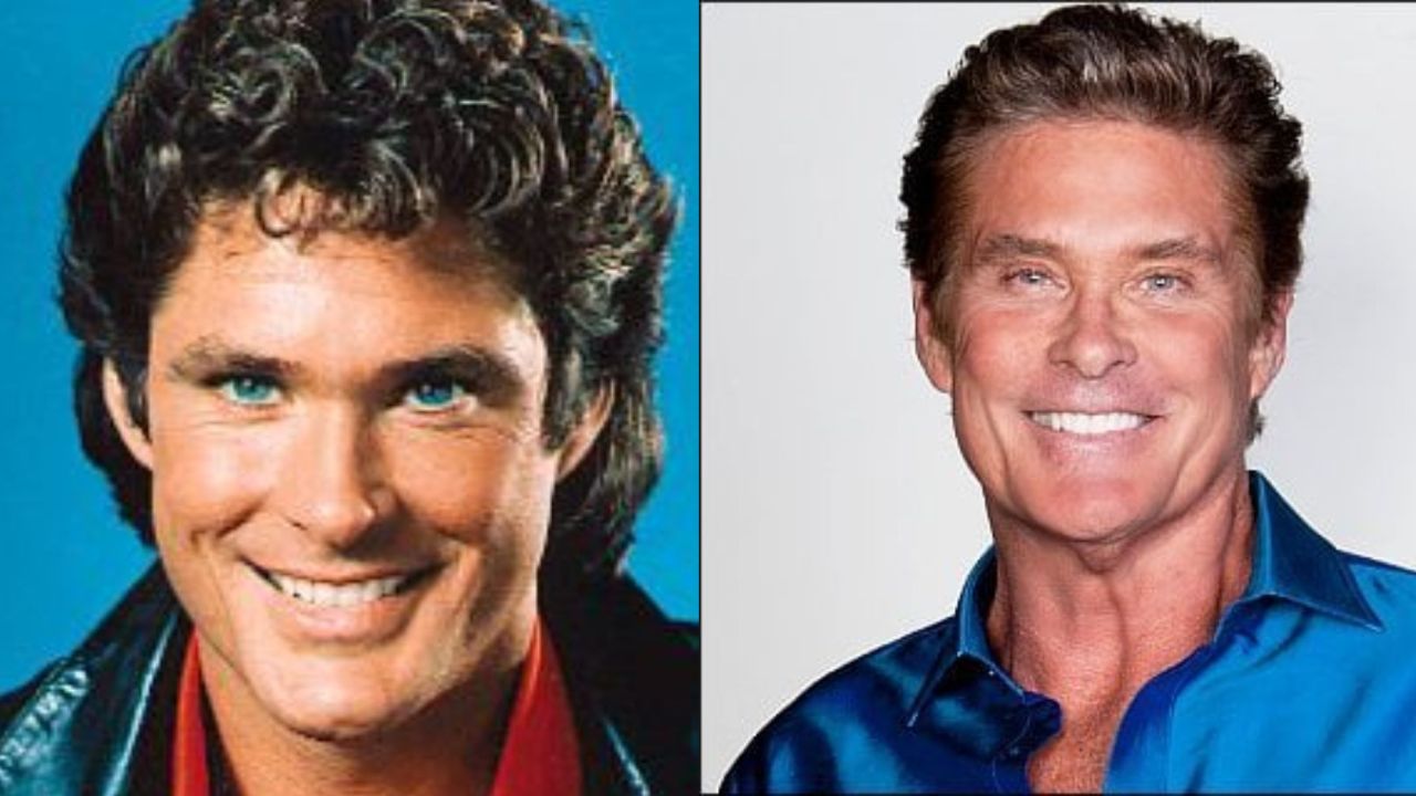 David Hasselhoff's Plastic Surgery: What Does The Knight Rider Star Look Like Today? Check Out the Before and After Pictures!