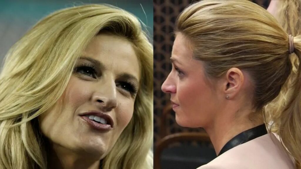 Erin Andrews' Nose Job: Did The Sportscaster Get Rhinoplasty to Reduce the Size of Her Nose?