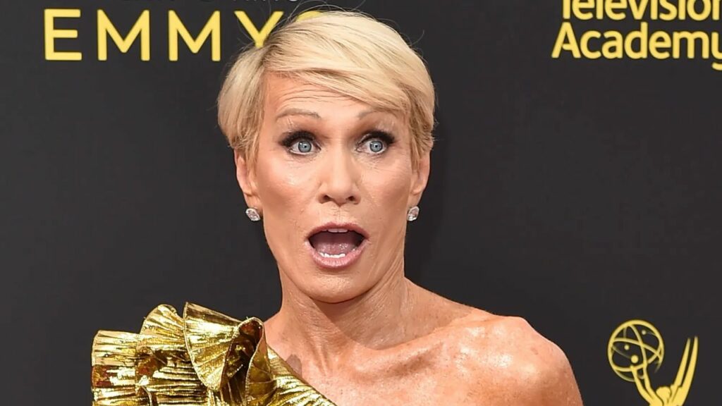 Barbara Corcoran's Plastic Surgery Why Does The Businesswoman's Face