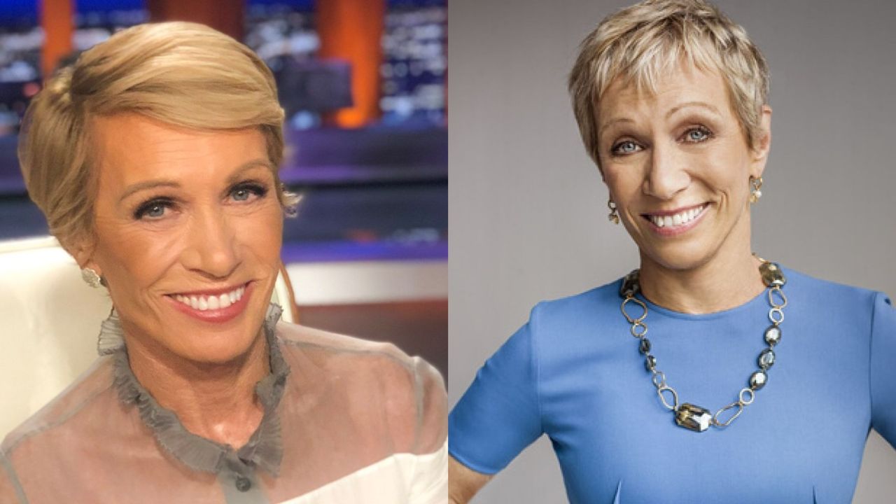Barbara Corcoran's Plastic Surgery: Why Does The Businesswoman's Face Look So Fresh and Youthful? Did She Have a Facelift?
