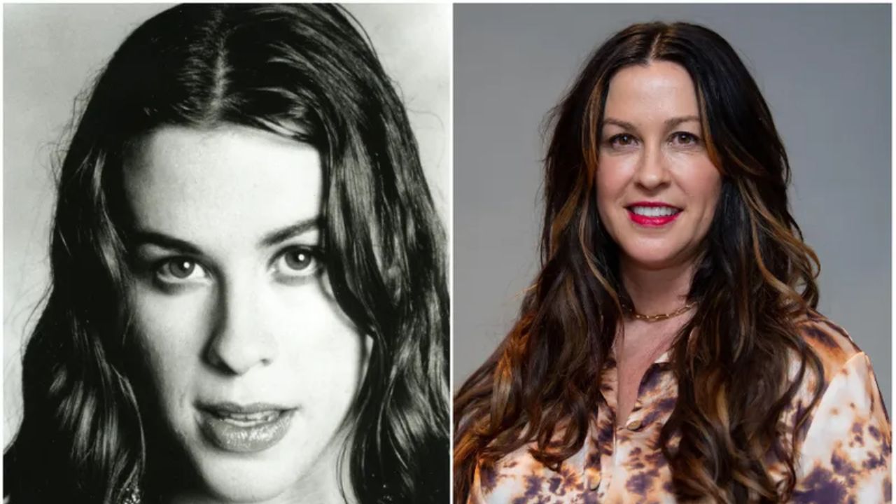 Did Alanis Morissette Undergo Plastic Surgery Including Boob Job Nose Hot Sex Picture 5993