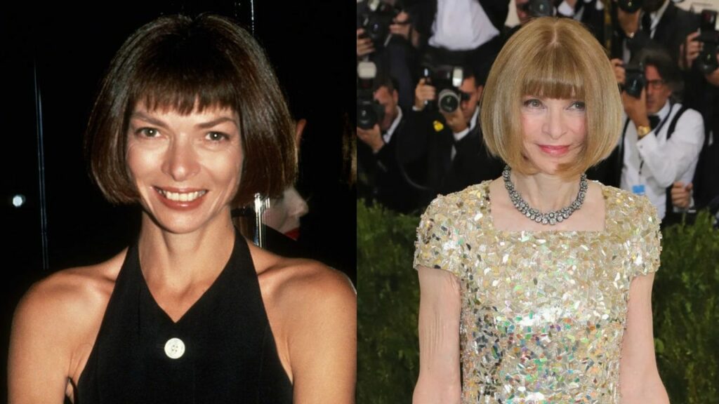 Anna Wintour's Plastic Surgery: How Does She Look So Young?