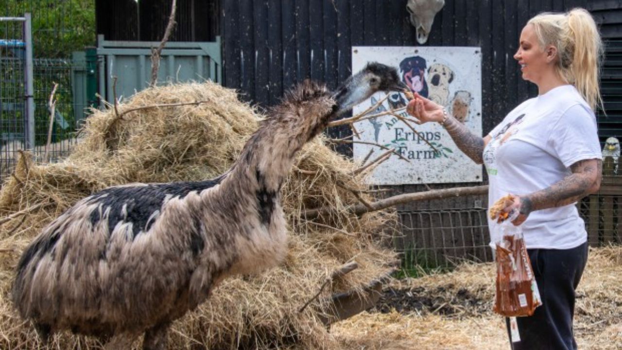 Jodie Marsh has turned her hand to raising animals at her farm. houseandwhips.com
