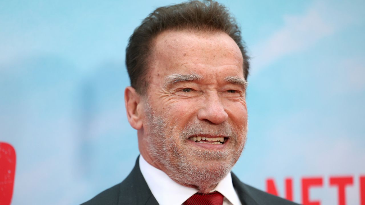 Arnold Schwarzenegger plays the leading role in Netflix's Fubar. houseandwhips.com