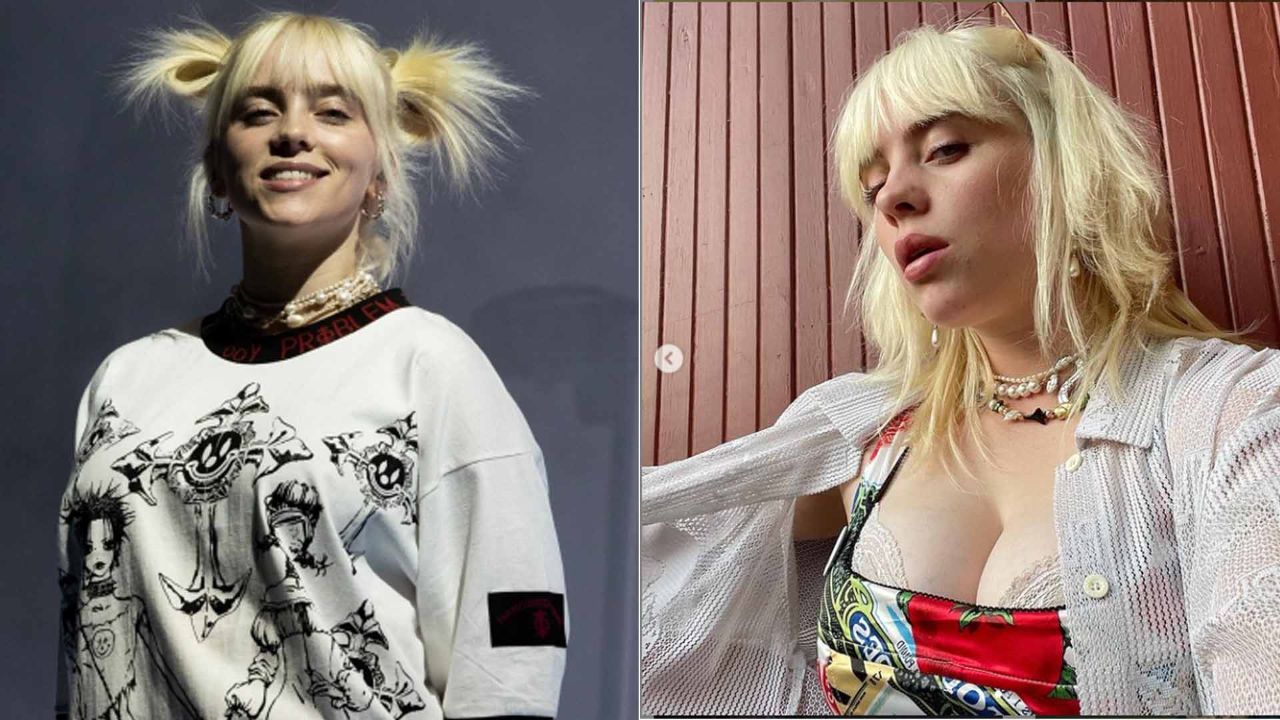 Billie Eilish before and after a boob job. houseandwhips.com