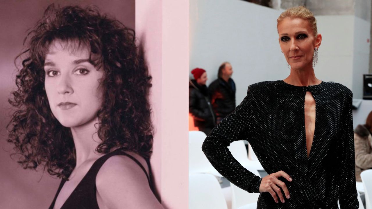 Celine Dion before and after a nose job. houseandwhips.com