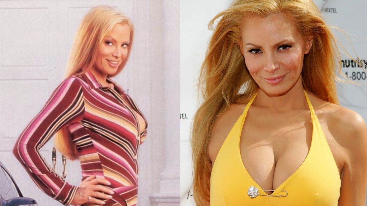 Cindy Margolis’ Plastic Surgery: Breast Implant, Botox & More! houseandwhips.com