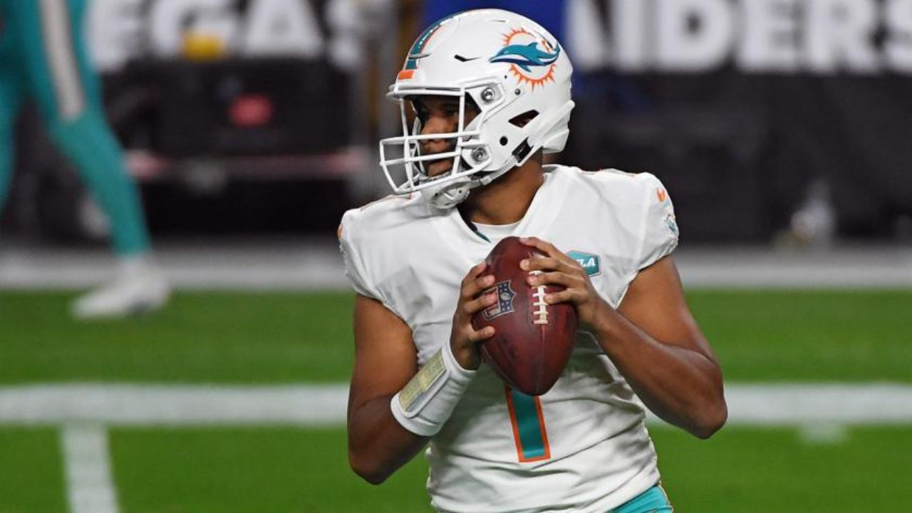 Tua Tagovailoa was listed as 217 pounds on the Dolphins' website the previous season. houseandwhips.com