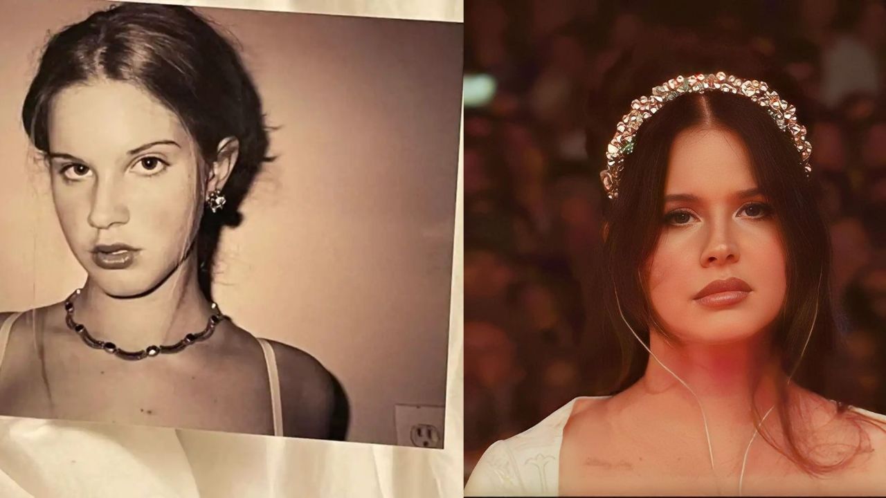 Has Lana Del Rey Received a Nose Job? houseandwhips.com