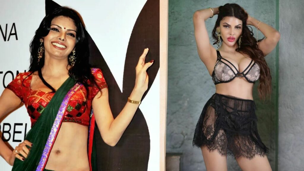 Sherlyn Chopra’s Plastic Surgery: Every Procedures She Has Received! houseandwhips.com