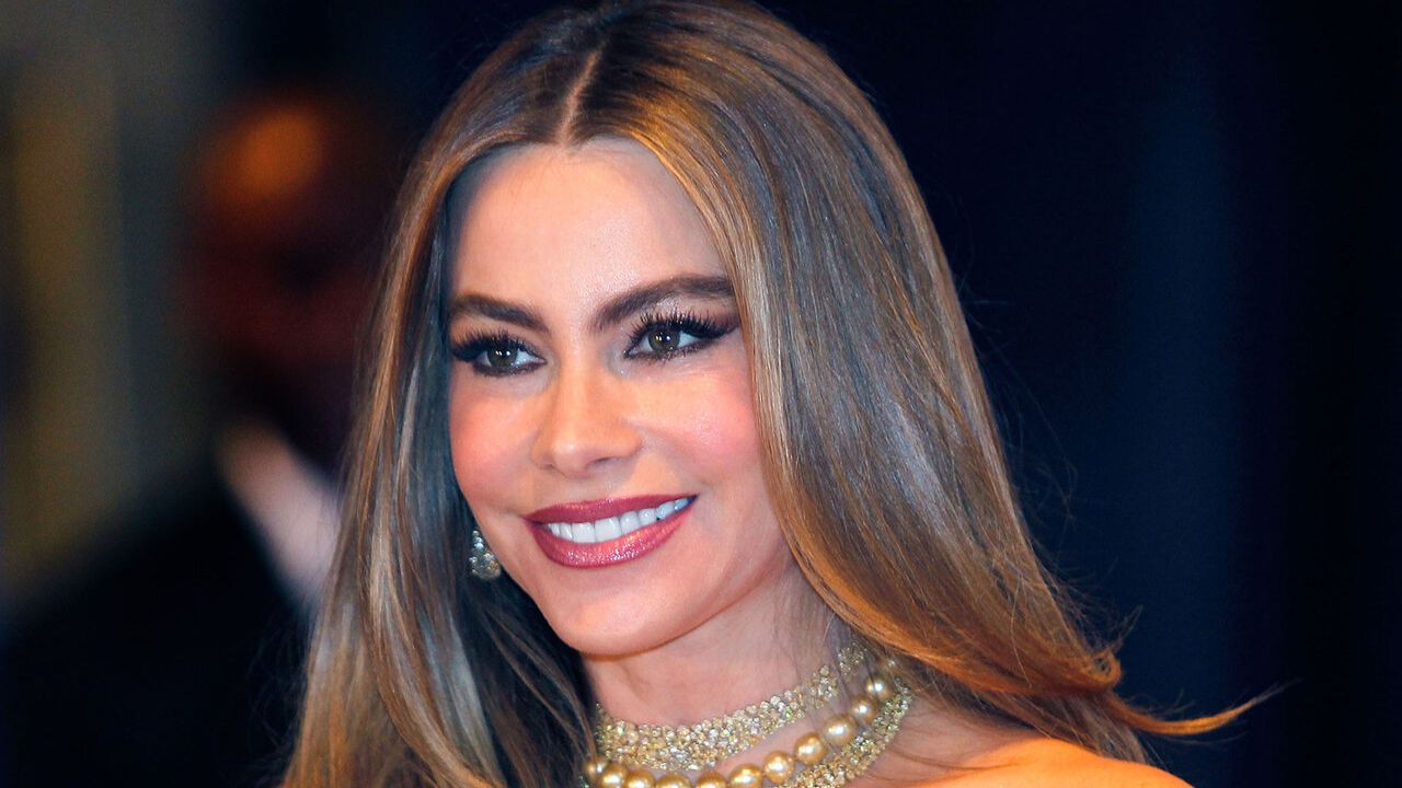 Sofia Vergara has never admitted to plastic surgery but she has never ruled it out either. houseandwhips.com