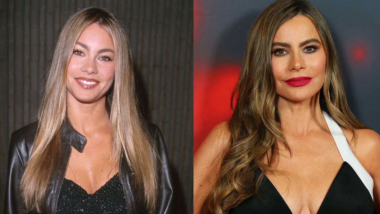 Sofia Vergara is believed to have had plastic surgery to fight the effects of aging. houseandwhips.com