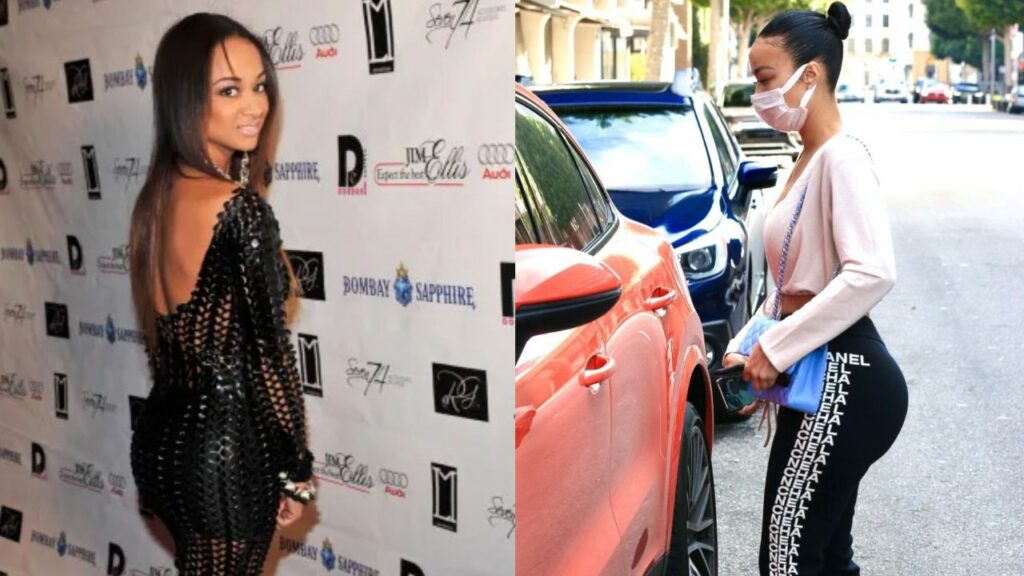 Draya Michele's fans are convinced that she has had plastic surgery to enhance her figure. houseandwhips.com