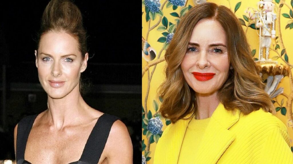 Trinny Woodall’s Plastic Surgery: Find the Truth! houseandwhips.com