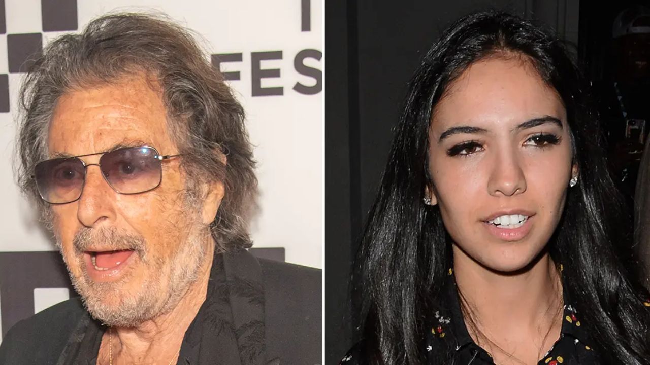 Al Pacino's girlfriend, Noor Alfallah, is repeatedly asking for full custody of their four-month-old child. houseandwhips.com