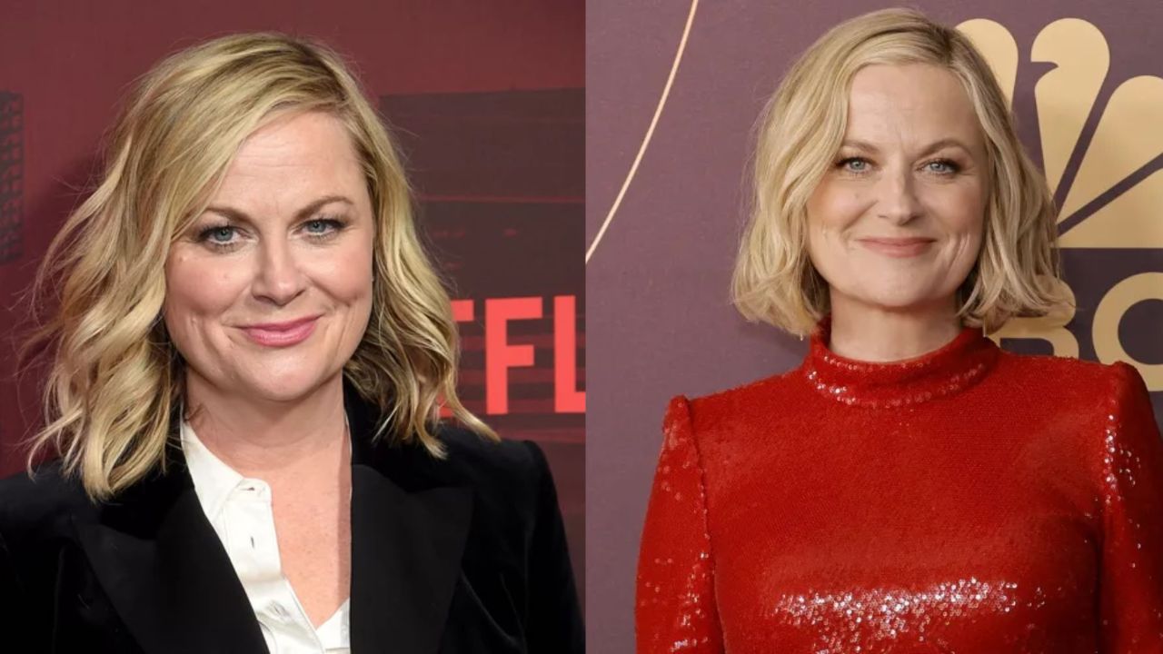 Amy Poehler before and after weight loss. houseandwhips.com
