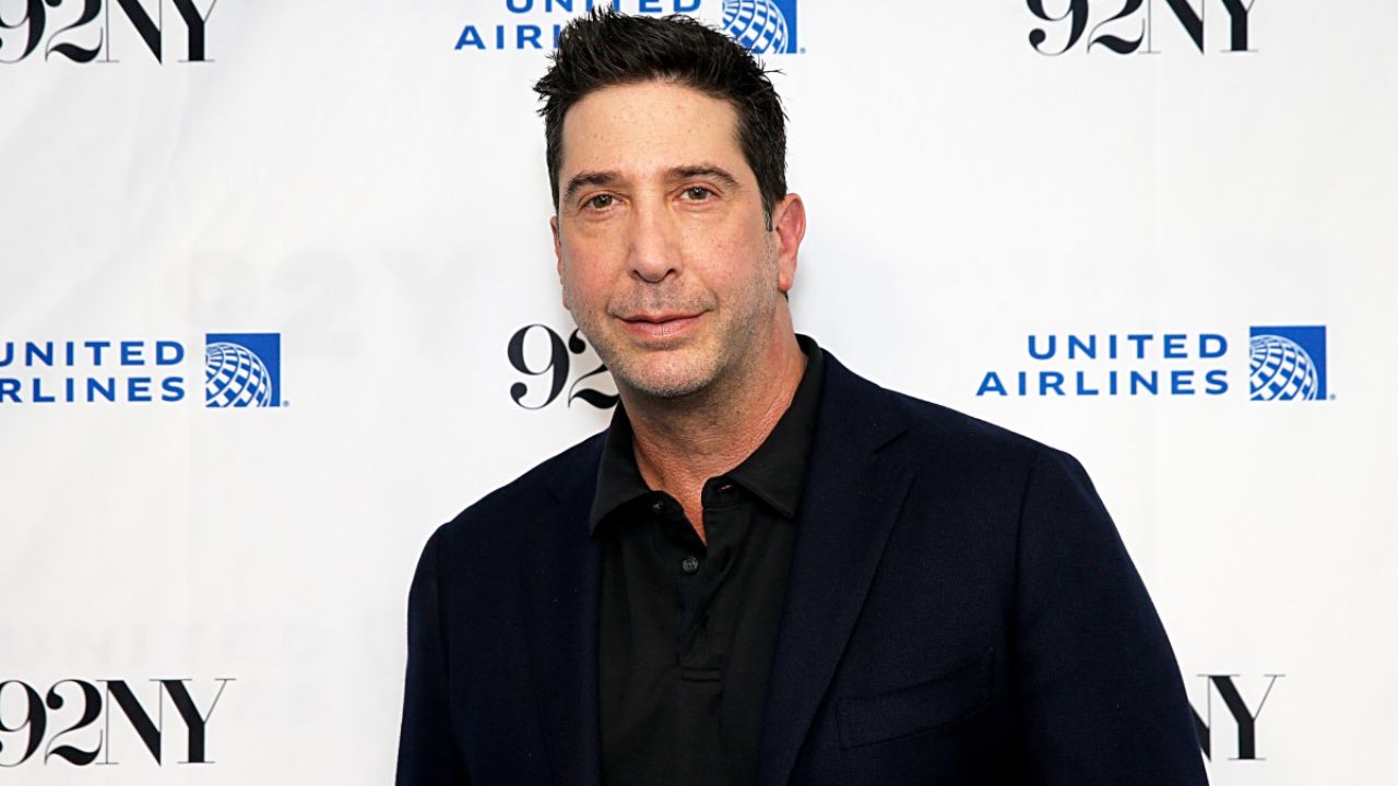 David Schwimmer is well known for his role as Ross Geller in the sitcom, Friends. houseandwhips.com