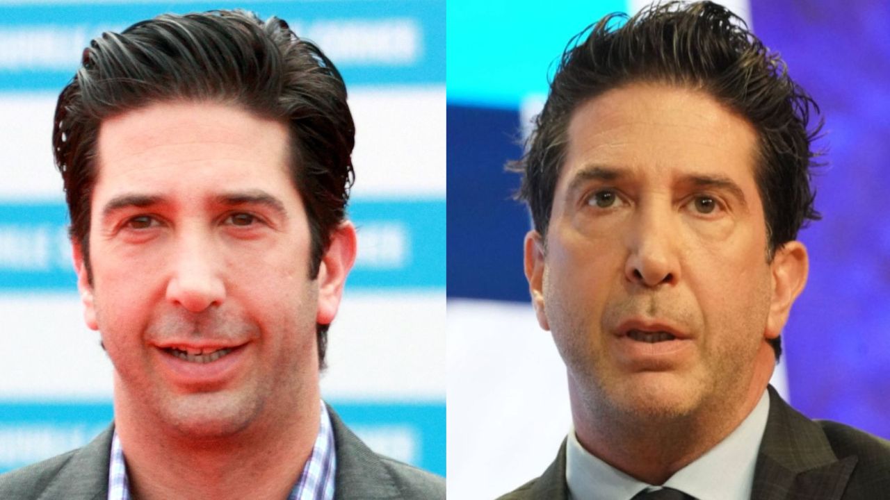 David Schwimmer Plastic Surgery: Then and Now Photos Examined! houseandwhips.com