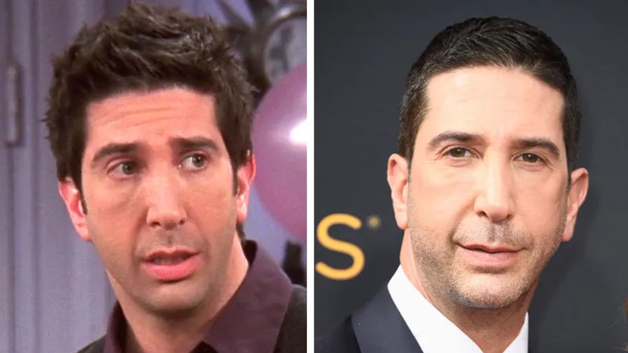 David Schwimmer before and after plastic surgery. houseandwhips.com