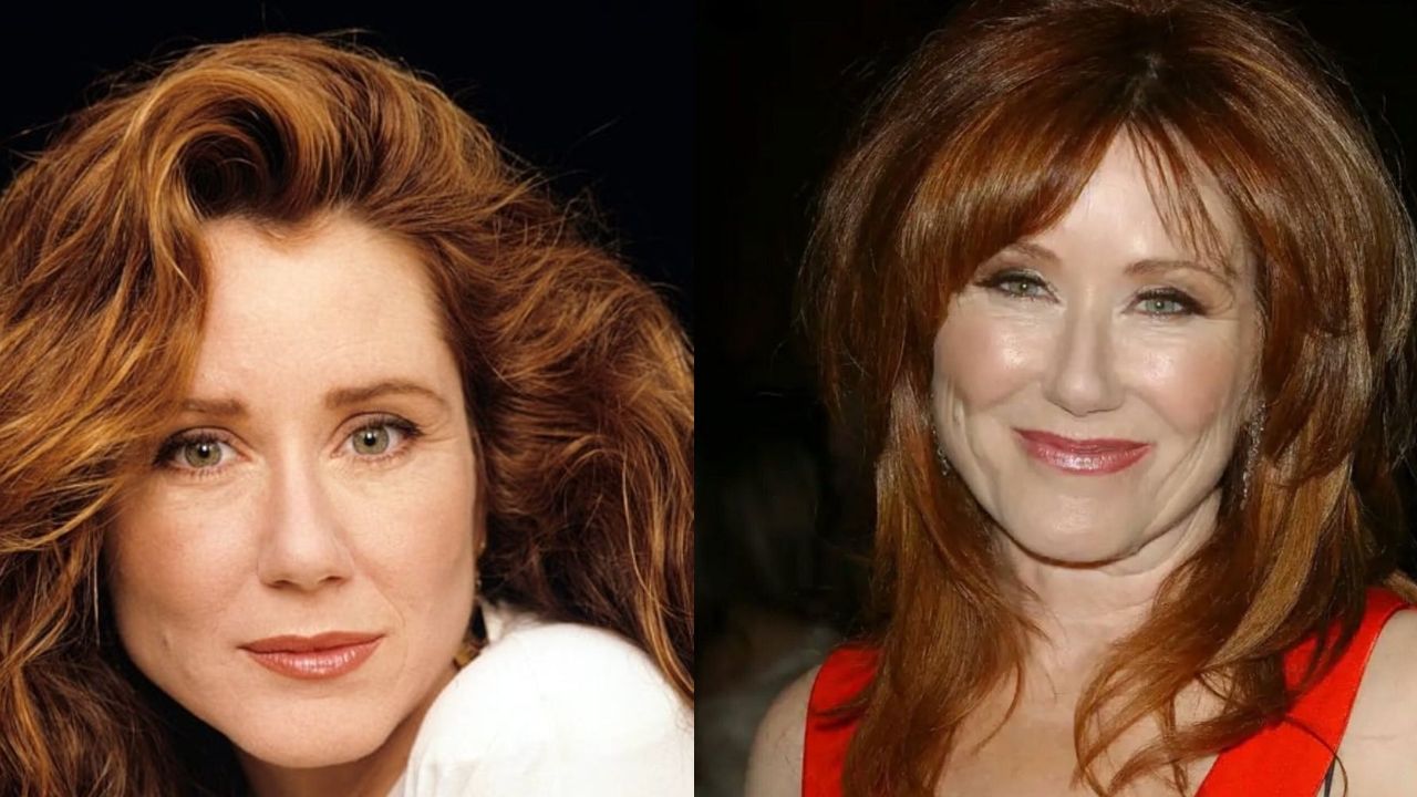 Mary McDonnell before and after plastic surgery. houseandwhips.com