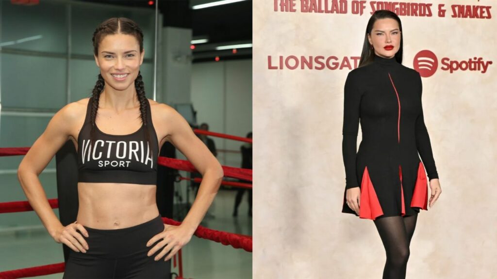 Adriana Lima appears to have had a weight gain. houseandwhips.com
