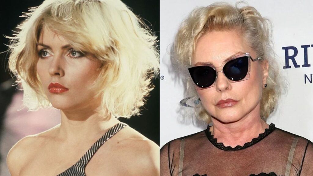 Debbie Harry has gotten plastic surgery to fight aging. houseandwhips.com