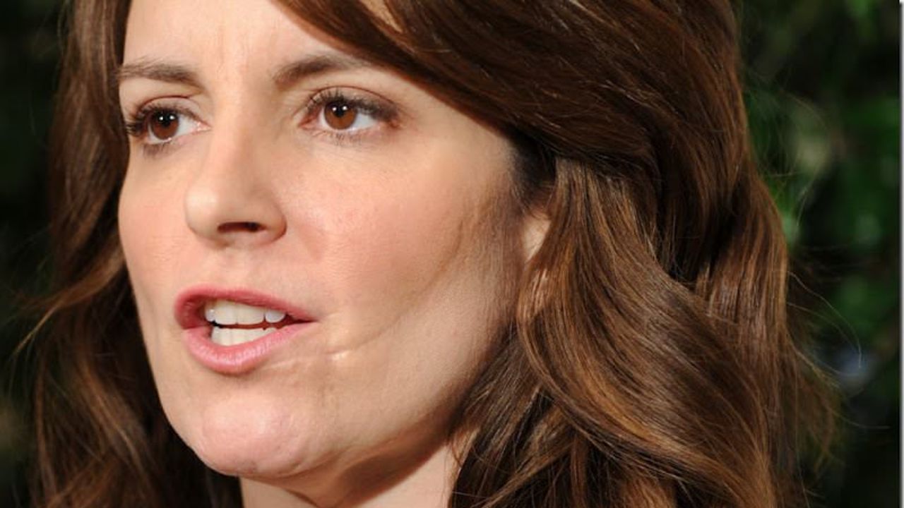 Fans want to know how Tina Fey got that scar on the left side of her face. houseandwhips.com