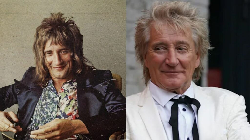 Rod Stewart does not look like he has had plastic surgery. houseandwhips.com