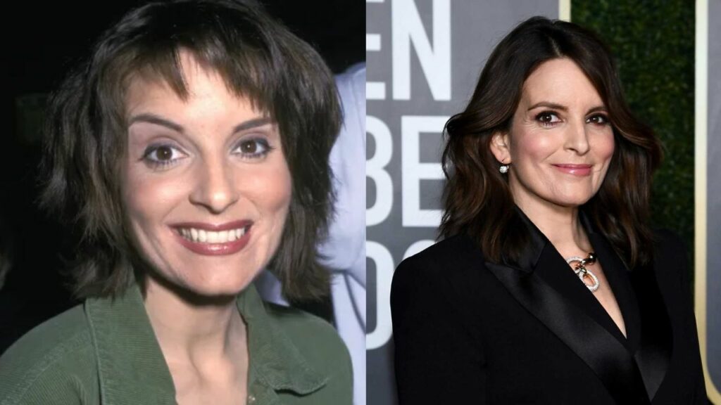 Tina Fey has always been against plastic surgery. houseandwhips.com