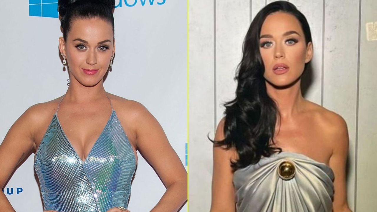 Did Katy Perry Get a Breast Reduction? houseandwhips.com