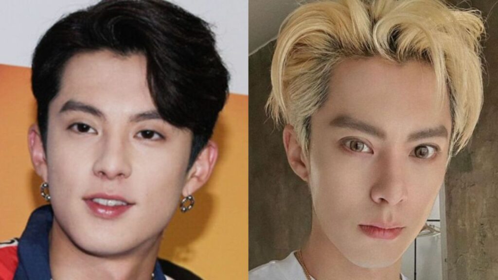 What Has Dylan Wang Done to His Face?houseandwhips.com