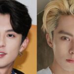 What Plastic Surgery Has Dylan Wang Received? houseandwhips.com