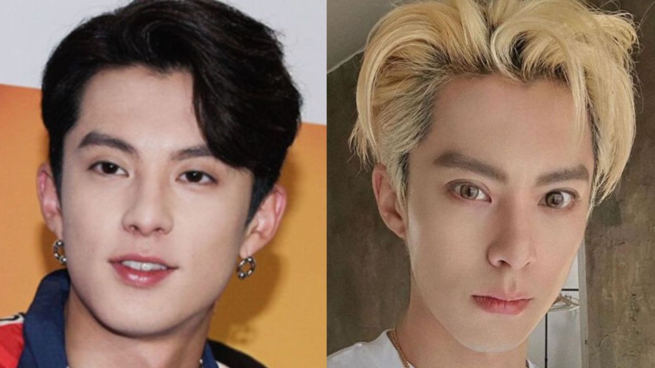 What Plastic Surgery Has Dylan Wang Received? houseandwhips.com