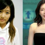 Taeyeon looks like two different person in her before and after cosmetic surgery pictures. houseandwhips.com