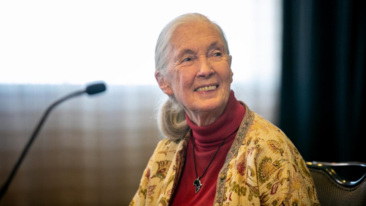 Jane Goodall's net worth was estimated to be $5-25 million.